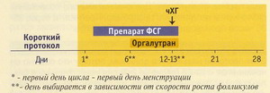 Оргалутран Москва