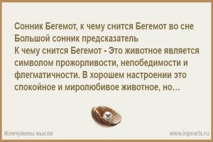 Бывший просит во сне. К чему приснился покойный сын. К чему снится покойник плачет во сне. К чему снится взрослый ребёнок. Видеть во сне что есть сын.