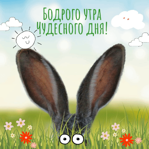 1784288-dobroe-utro-gifki-17.gif