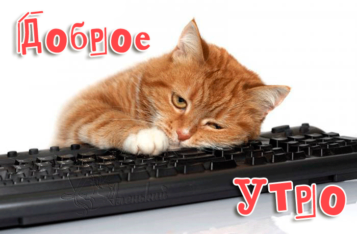 1784288-dobroe-utro-gifki-6.gif