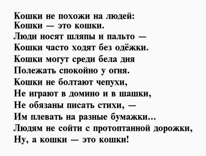 Стих про кошку. Стихи про кошек короткие. Стихотворение про любимую кошку. Стихи про любимых кошек.